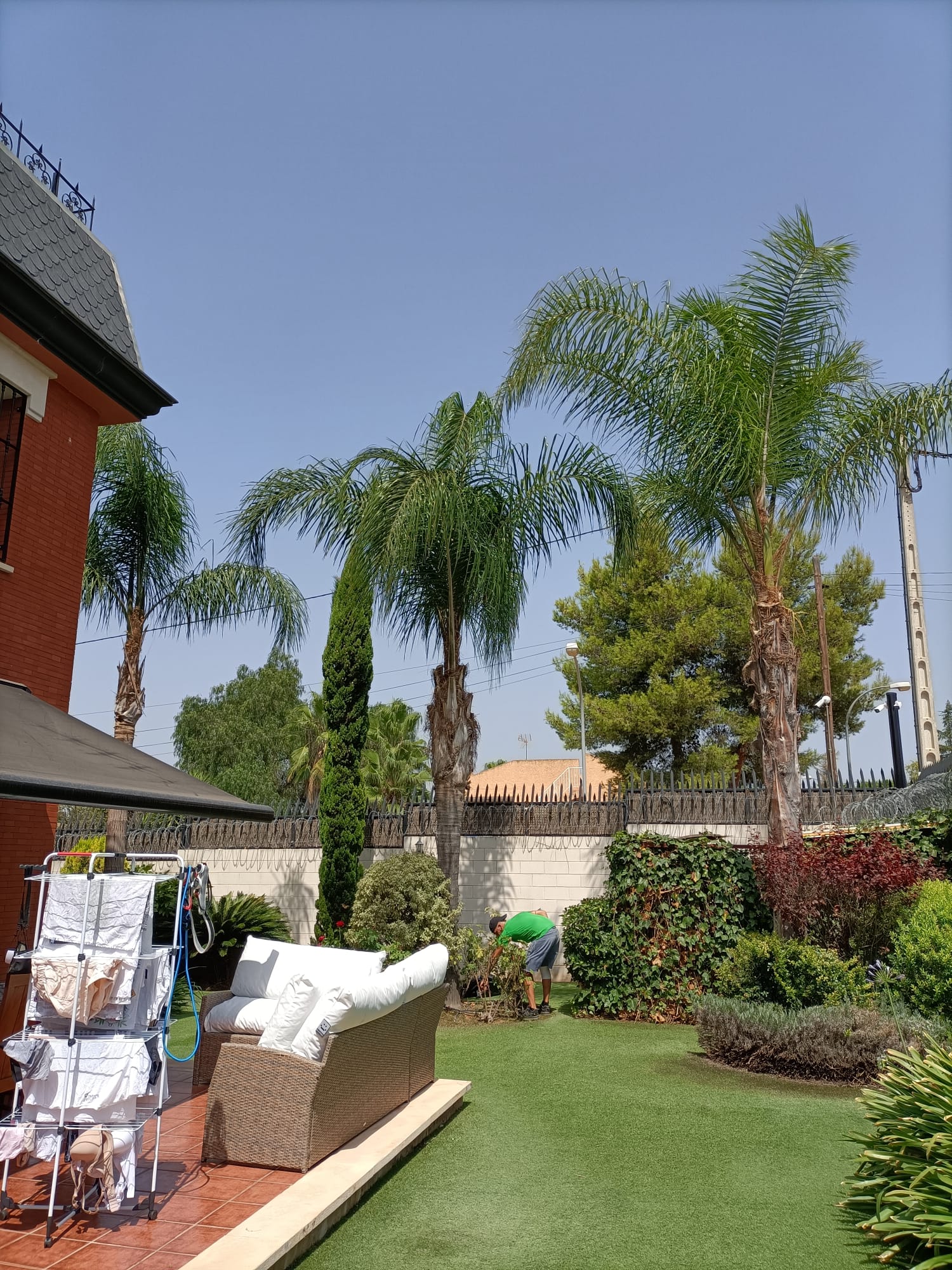 Mantenimiento de Jardines. Mantenimiento de Jardines en Valencia