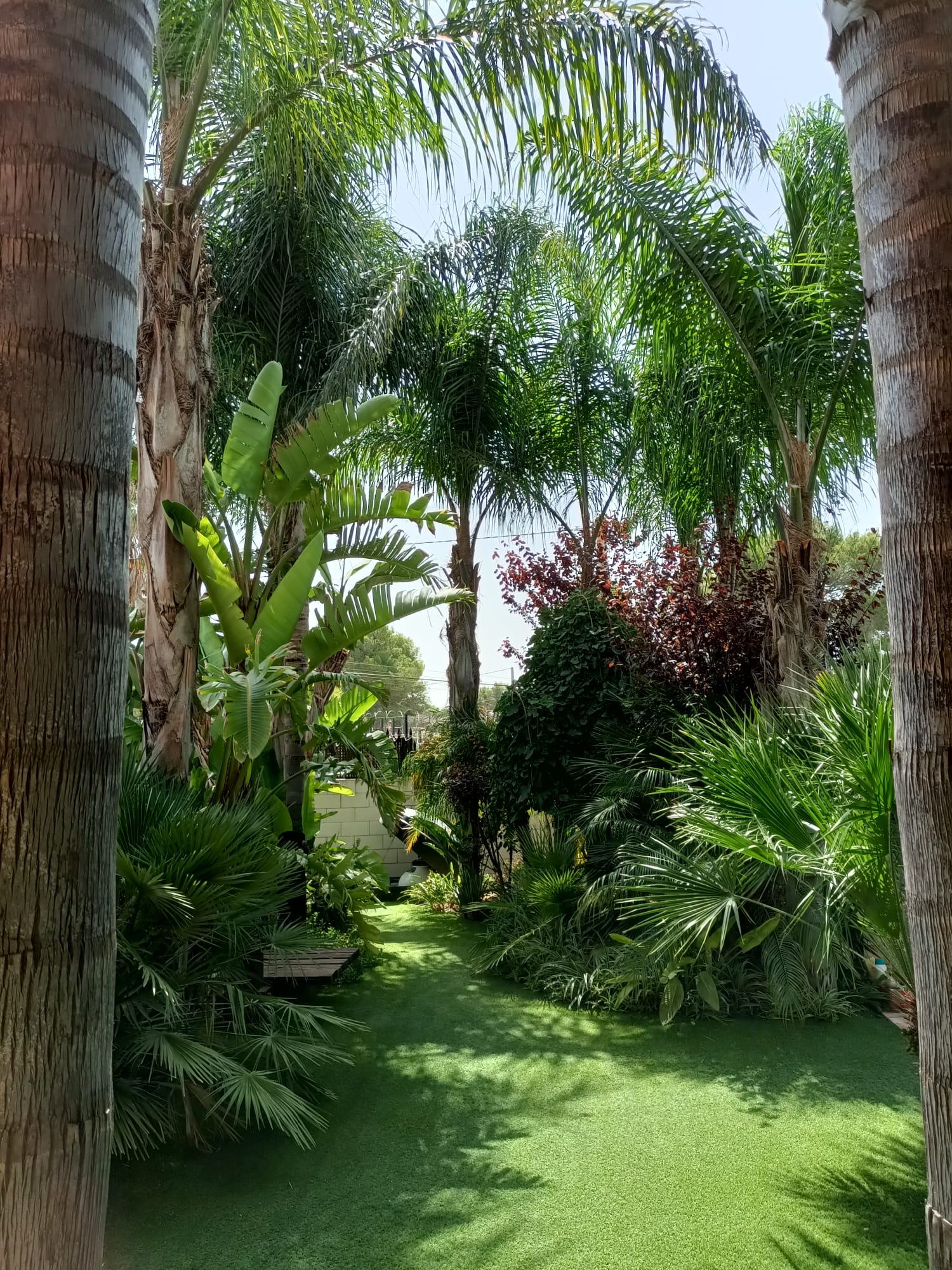 Mantenimiento de Jardines. Mantenimiento de Jardines en Valencia