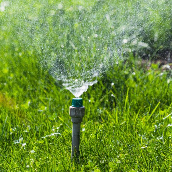 Jardinería en Castellón de la Plana