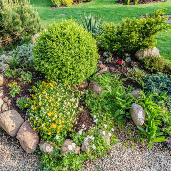 Jardineria en Castellón de la Plana