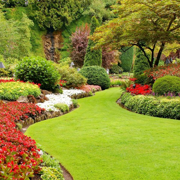 Jardinería en Benicasim