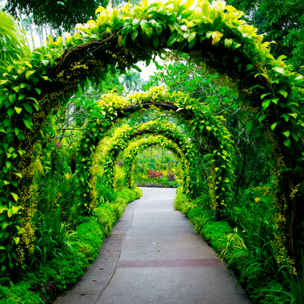 Diseño de jardines Ibiza